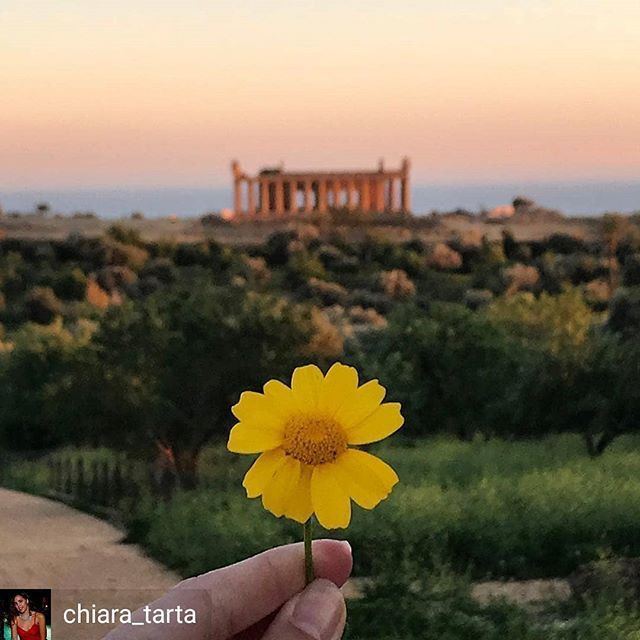 AgrigenTour's tweet photo. from @chiara_tarta -  Speechless. https://t.co/HtyUgtcq3M https://t.co/rkcyHxFbXQ