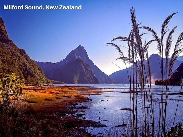 TeamCarpathia's tweet photo. Where should we host our next #AdventureNetworkingExcursions &amp; #BucketListNetworking #Summit?

I vote Ecuador, but this pic of New Zealand is every bit of the #paradise #destination we love!

Call us at 1.800.517.6399 to learn more!

Repost @sapphire_kharyzma https://t.co/MvMpQzLCA9