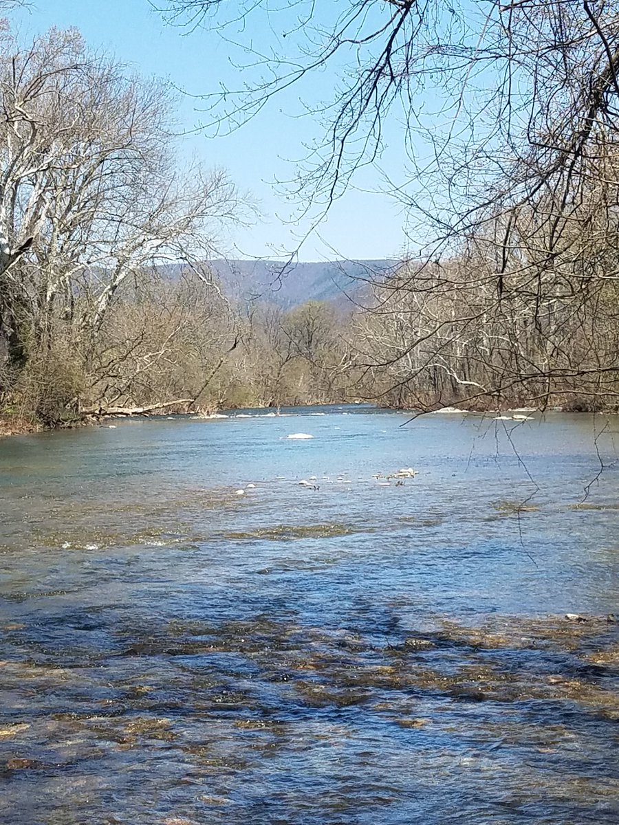 KDC_Fishin's tweet photo. Blue skies makes blue water. #Fishing #Spring https://t.co/zNXjpQZCxY