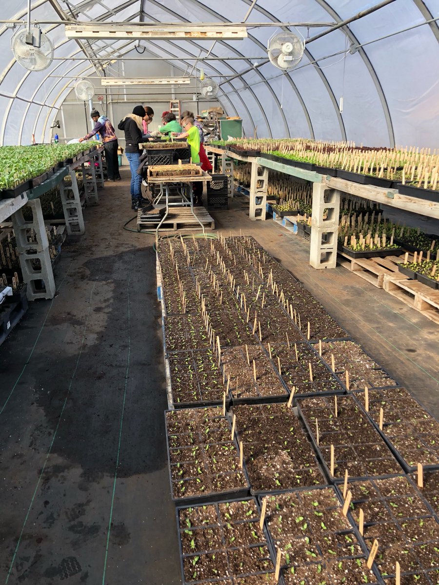 KostEmma's tweet photo. day 13: to the amazing opportunity i had this morning at  earthworks https://t.co/lXxbi2Y7AX