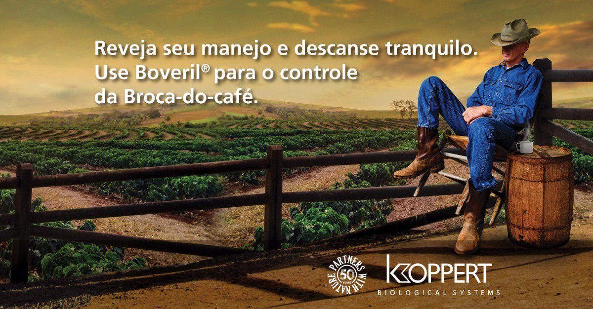Koppertbr's tweet photo. Inseticida biológico Beauveria bassiana indispensável para o controle da Broca-do-café.🌿🐞🐝🐛☕
#koppert #controlebiologico #agricultura #partnerswithnature #koppertandbug #crops #pestsdiseases #safracheia #macrobiologicos #microbiologicos #koppertbr #brocadocafe #cafe #coffee https://t.co/oO8cy3LNYo