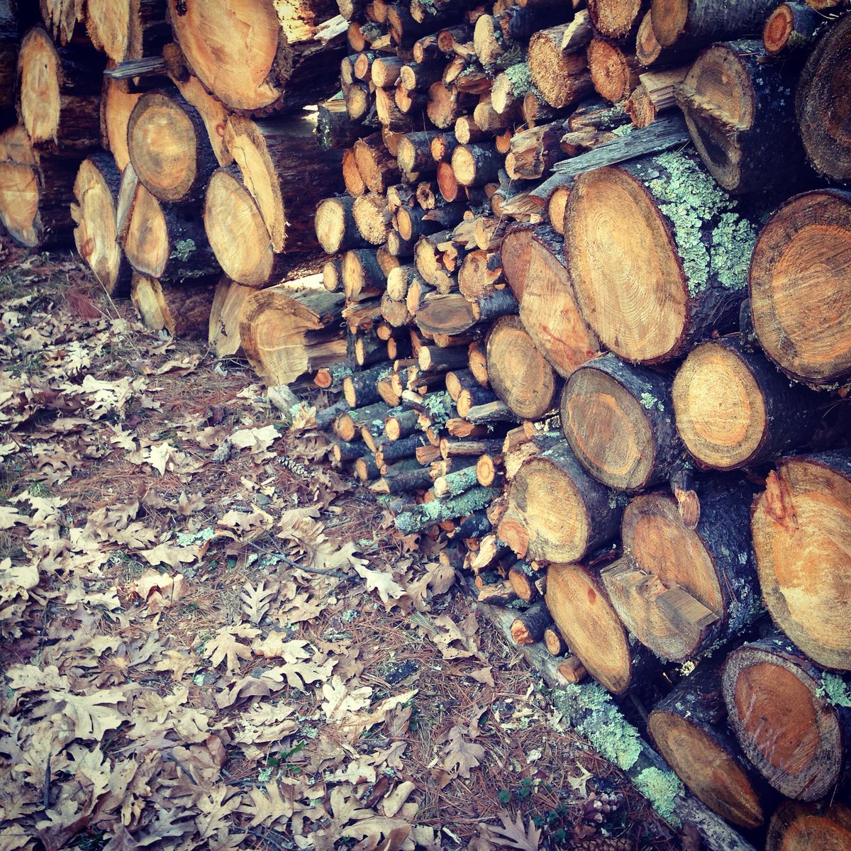 r_wilberg's tweet image. There are no coincidences. bit.ly/2iJ9231 #crowdbehavior #relationships #perception #groupdynamics #writing #amwriting #poetry #songwriting #songwriter #music #musicismylife #musiclife #piano #millennials #filmmaking #filmmaker #SupportIndieFilm #creativity