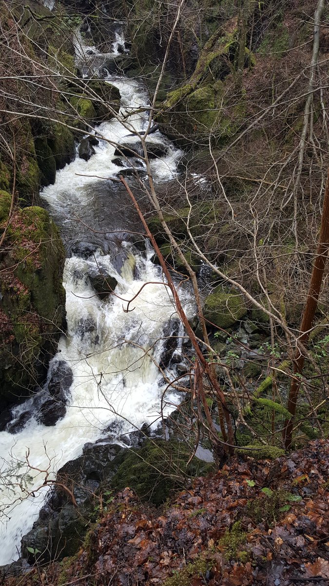 llinosann1's tweet photo. Does run man yn debyg i gartref! #Cymu hardd https://t.co/xVT8dxTIay