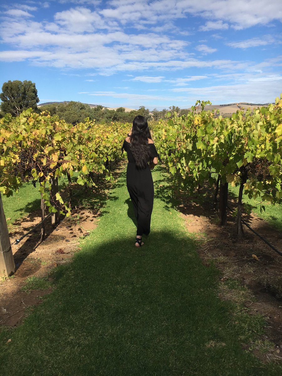 nirvanashxx's tweet photo. here are some of the v touristy pictures I took while venturing out into the wild Australian bush https://t.co/SSee3ksTXm