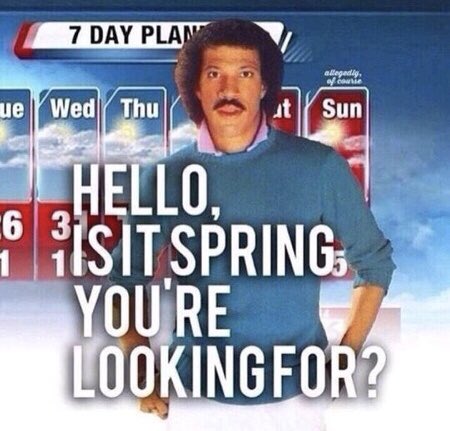 photogrl68's tweet image. #notmyspring