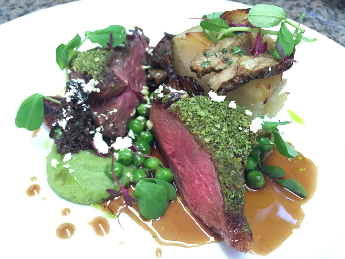 Herb crusted lamb rump, potato terrine, pea purée, wild morel mushrooms, charred baby onion, white wine jus <a href="/westburyparkpub/">westburyparkpub</a> <a href="/ZazusKitchen225/">Zazu's Kitchen</a> <a href="/TheGraceGlosRd/">The Grace Bishopston</a> @rosatapas <a href="/chefcharlieh/">charlie hurrell</a> <a href="/theknowlepub/">The Knowle Pub</a> <a href="/ChefAshSaman/">Ash Saman</a> <a href="/RitterCourivaud/">Ritter Courivaud Ltd</a>