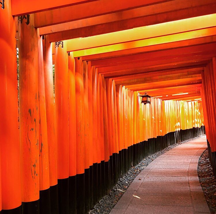 JAPAN, you have my 💗
#PartingIsSuchSweetSorrow #SakuraSweethearts