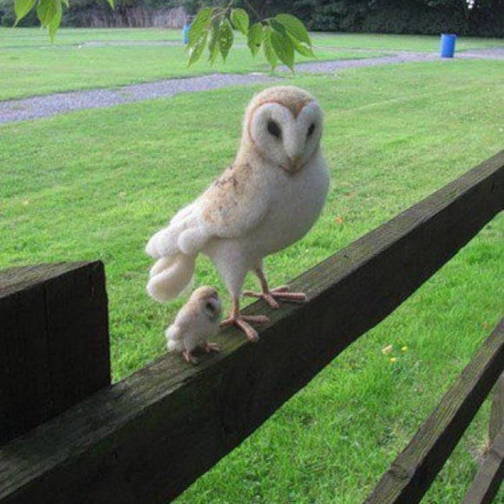 HuMminG BiRd (@prempra74109652) on Twitter photo 