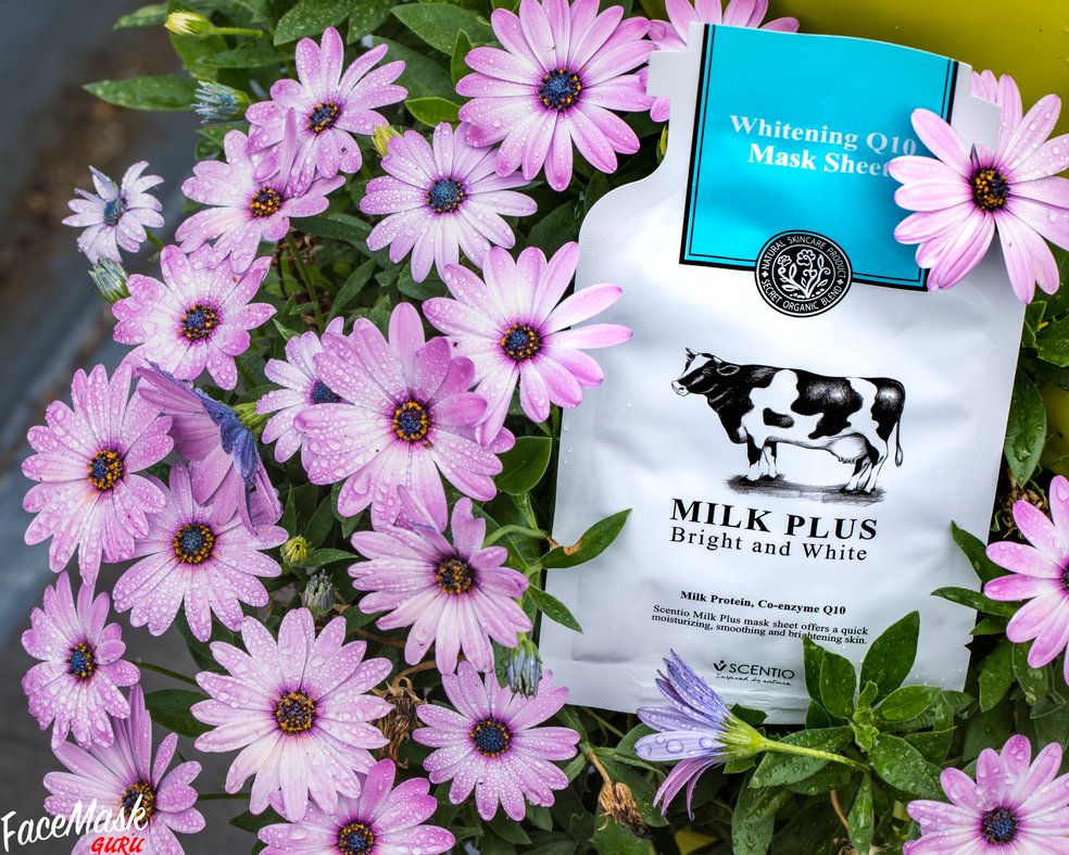 FaceMaskGuru's tweet photo. It’s a beautiful day, enjoy a facemask with flowers and cows for a little change 😊 
WIN one YEAR’S FREE supply of #facemasks 😍 just visit https://t.co/otqXE5BpwE to learn more 
#facemask #facemaskguru   #sheetmask #beauty #skincare #Giveaway  #sheetmasks #facemaskfun #win https://t.co/XXcEIIIbuU