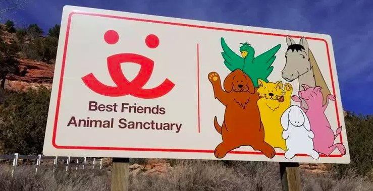 bestfriends's tweet photo. Looking for an incredible family vacation that is sure to be fulfilling to everyone and also gives back to animals? Consider visiting and volunteering at the Sanctuary in one of our many animals areas! Learn more here: https://t.co/0s89b7DuB5. ^ND https://t.co/INNp97W94n