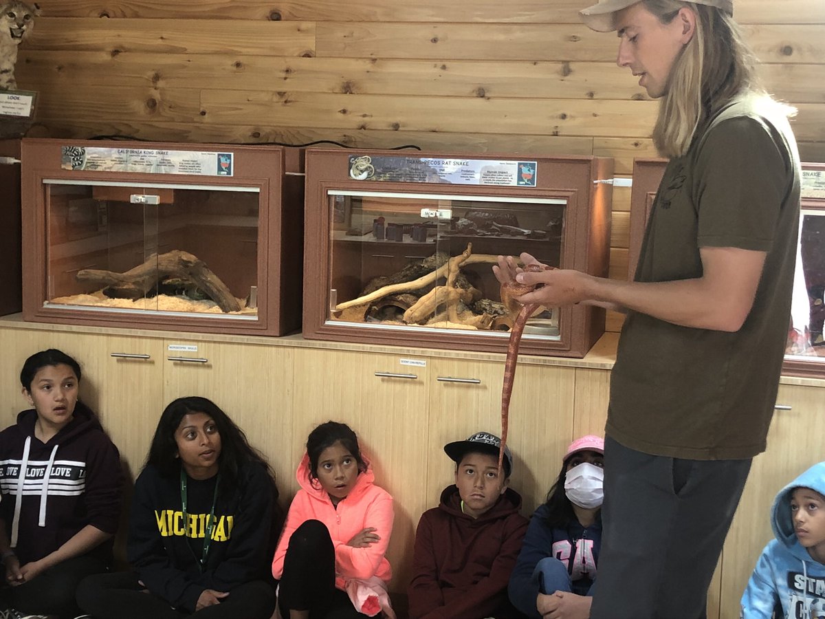 VargasSchool's tweet photo. Our 5th graders had a great time at science this week! #vargasscientists #outdoorclassroom https://t.co/xfl15Cqrln