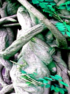 ShowFlipper's tweet photo. “Assimilated”
I feel safe in the hug of the bountiful nature.
#SFMegaContest Entry Number – 1426
Buy this digital photo created by Immo Jalass for $460 here - https://t.co/mGEsEaIKdm
#ShowFlipper #digitalart #photography https://t.co/LugzvJCYNb