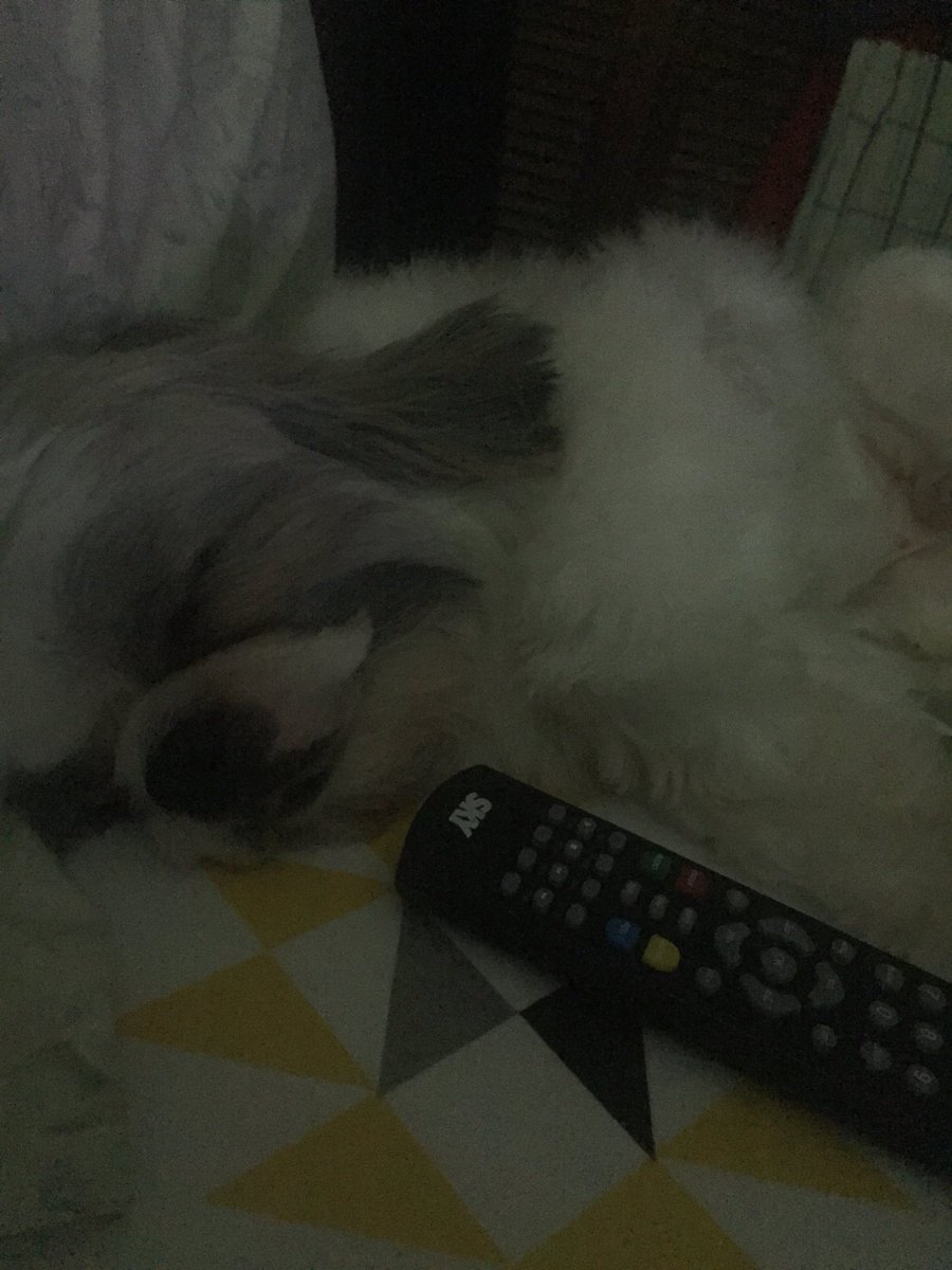 tesscrz's tweet photo. My little guy fell asleep even before the movie began ๐ #HappySaturday #longweekendbreak https://t.co/kCYK1k1wkJ