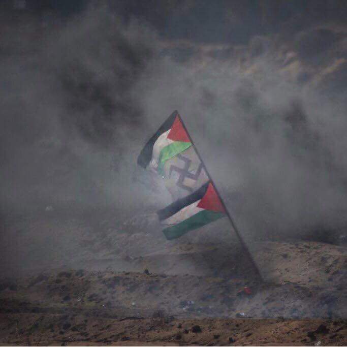 PluriIndocile's tweet photo. Si un groupe de manifestants arborant un drapeau nazi pour dénoncer quelque chose il se ferait traiter de Nazi et de raciste mais la c'est la Palestine alors c'est bien!
#Gaza #manifestation #drapeaunazi #Palestine https://t.co/67AWvkSyUv