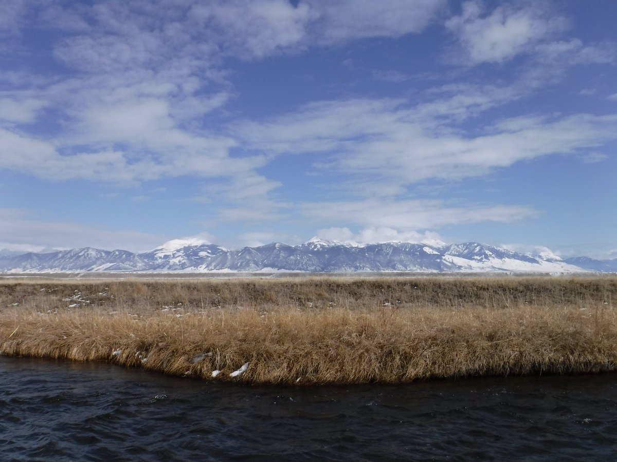 float_river's tweet image. Madison range on a great and cold day of fishing.  18F at the put in at Varney Bridge #flyfishing #driftboat