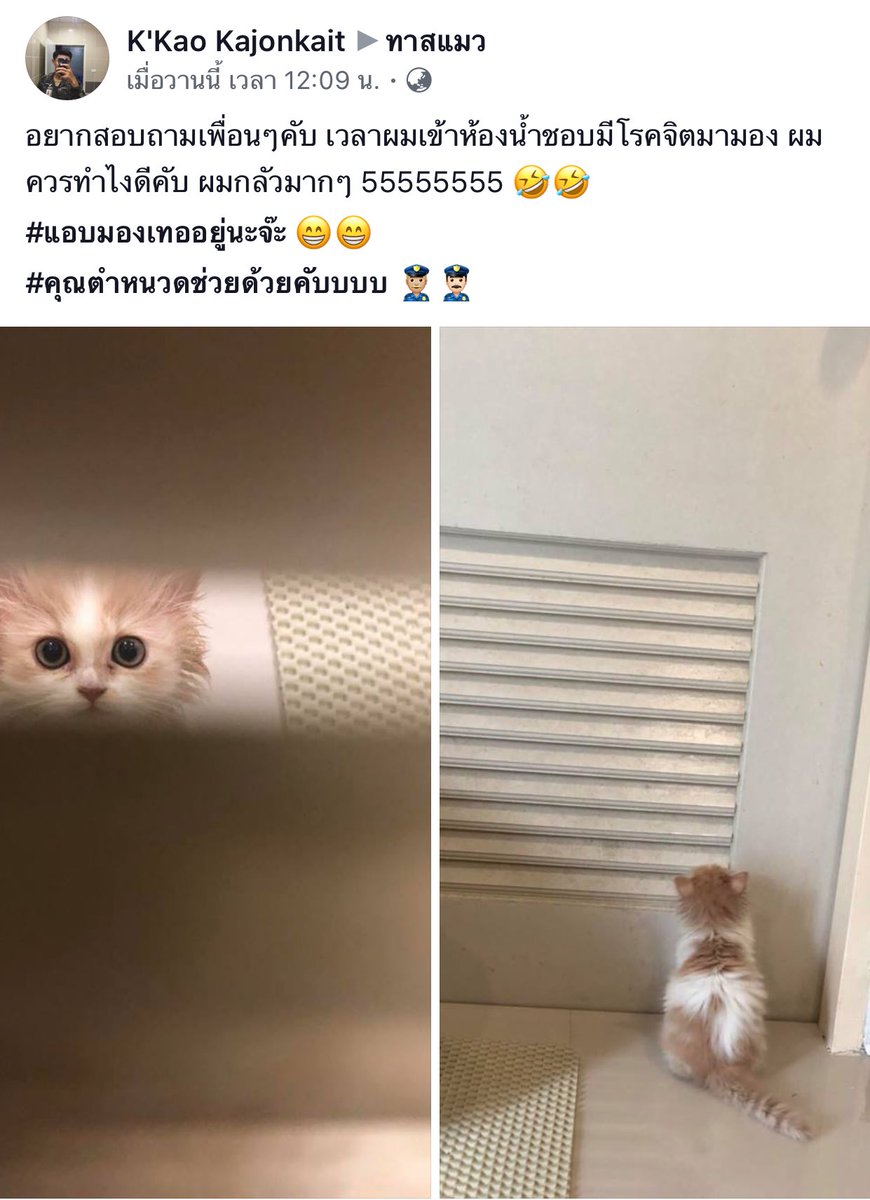 ก๊อบแก๊บ💕 tweet media