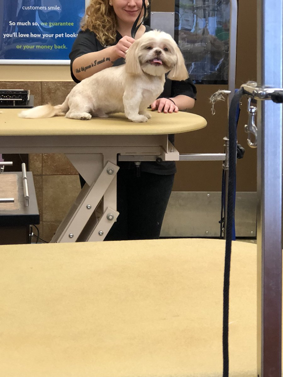 petsmart2480 tweet media