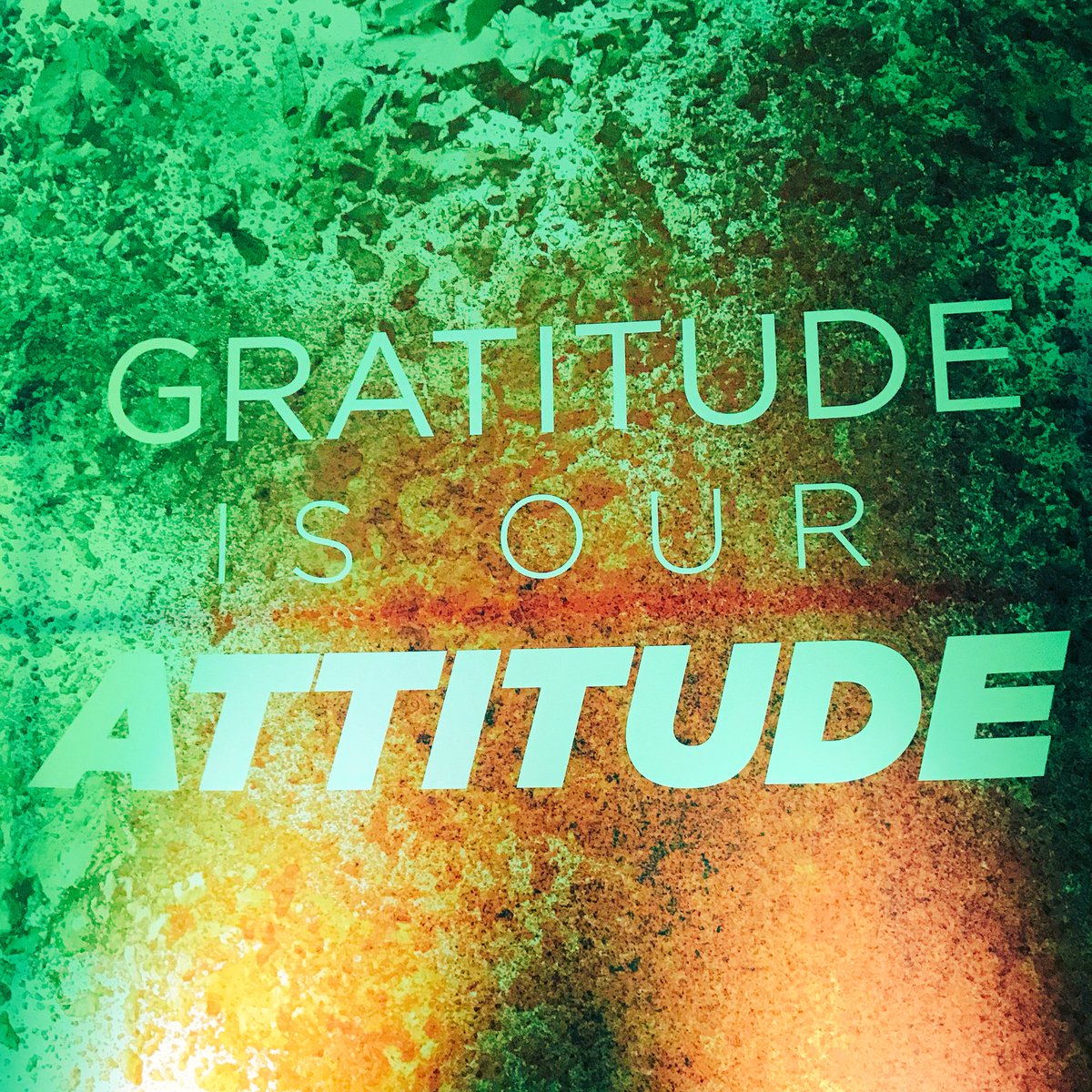 raeaberdeen's tweet photo. Really inspired by being at the Canada Celebration with @Isagenix I don’t want to wait for someone else to do it! I want to #startyourlife now. I hope I win the call 🌱🙏 #IMNEXT @isagenix @mylifeasalopez https://t.co/Cy7ruZ3Tnu