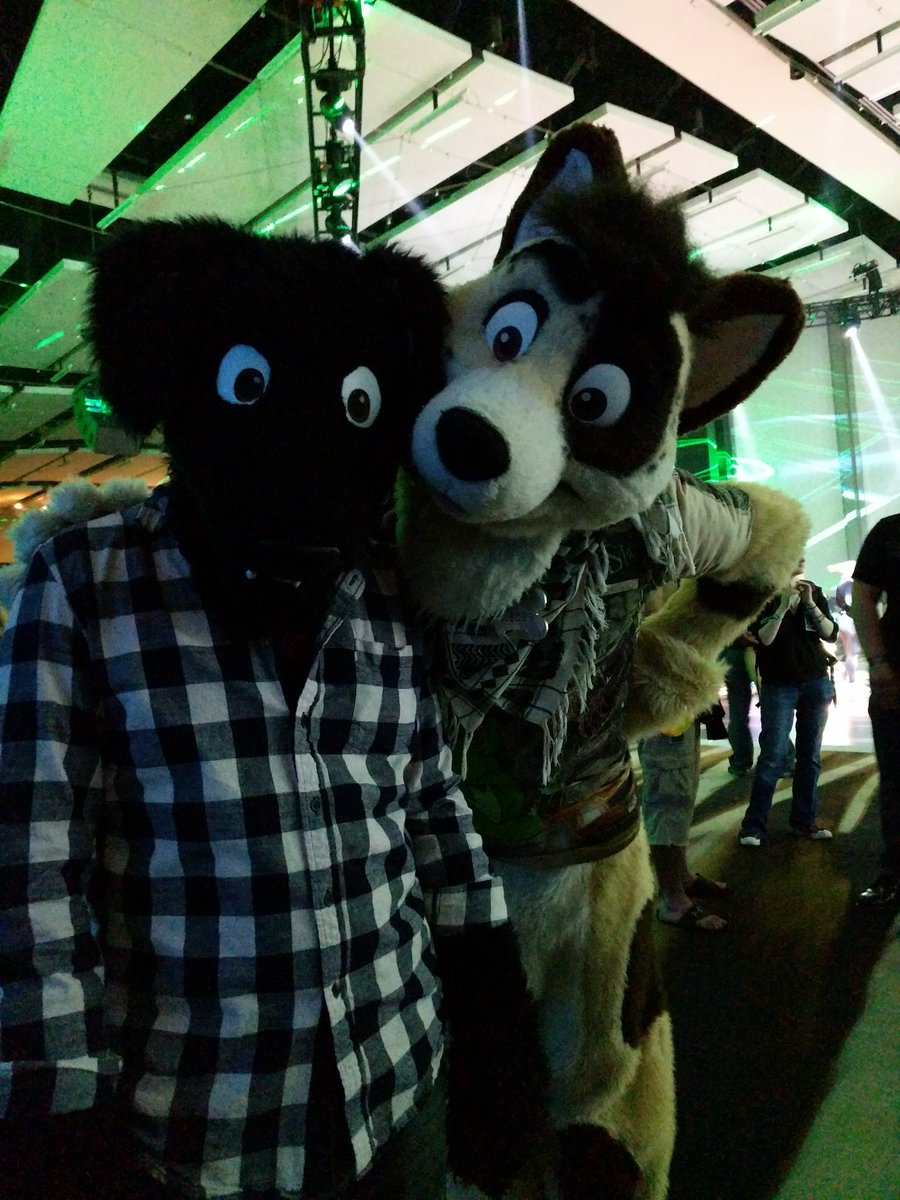 OrbitDoggy's tweet photo. Tallboye @FrisbeePuppy https://t.co/pPzBhZZD6B