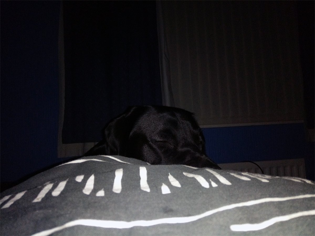 liamcarbweb's tweet photo. I love when my boy falls asleep on me ❤️ https://t.co/AvvlBEkCKK
