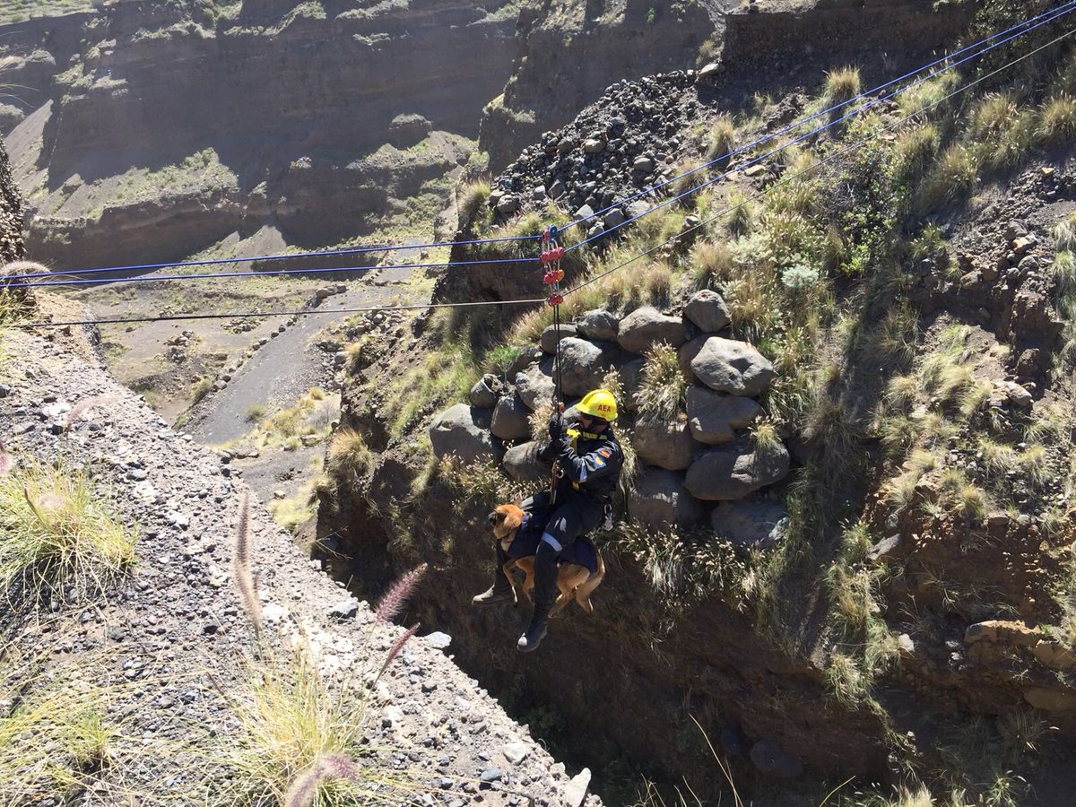 aeacanarias's tweet photo. AEA participa con 7 perros+6 guias operativos en las 3 Jornadas #cinologicas @UMEgob #GPSCanarias @polprcanarias @GPSLaLaguna @guardiacivil @BomberosMurcia #UEINCanarias #GPSCANARIAS https://t.co/YMHbEELjFX