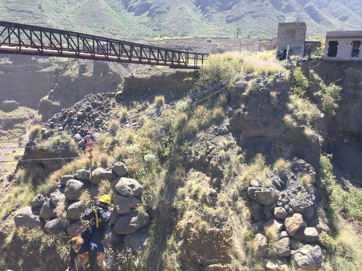 aeacanarias's tweet photo. AEA participa con 7 perros+6 guias operativos en las 3 Jornadas #cinologicas @UMEgob #GPSCanarias @polprcanarias @GPSLaLaguna @guardiacivil @BomberosMurcia #UEINCanarias #GPSCANARIAS https://t.co/YMHbEELjFX