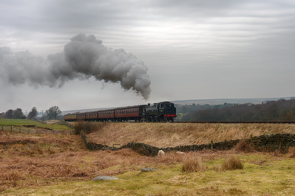 Halmer Grange Guest House tweet media