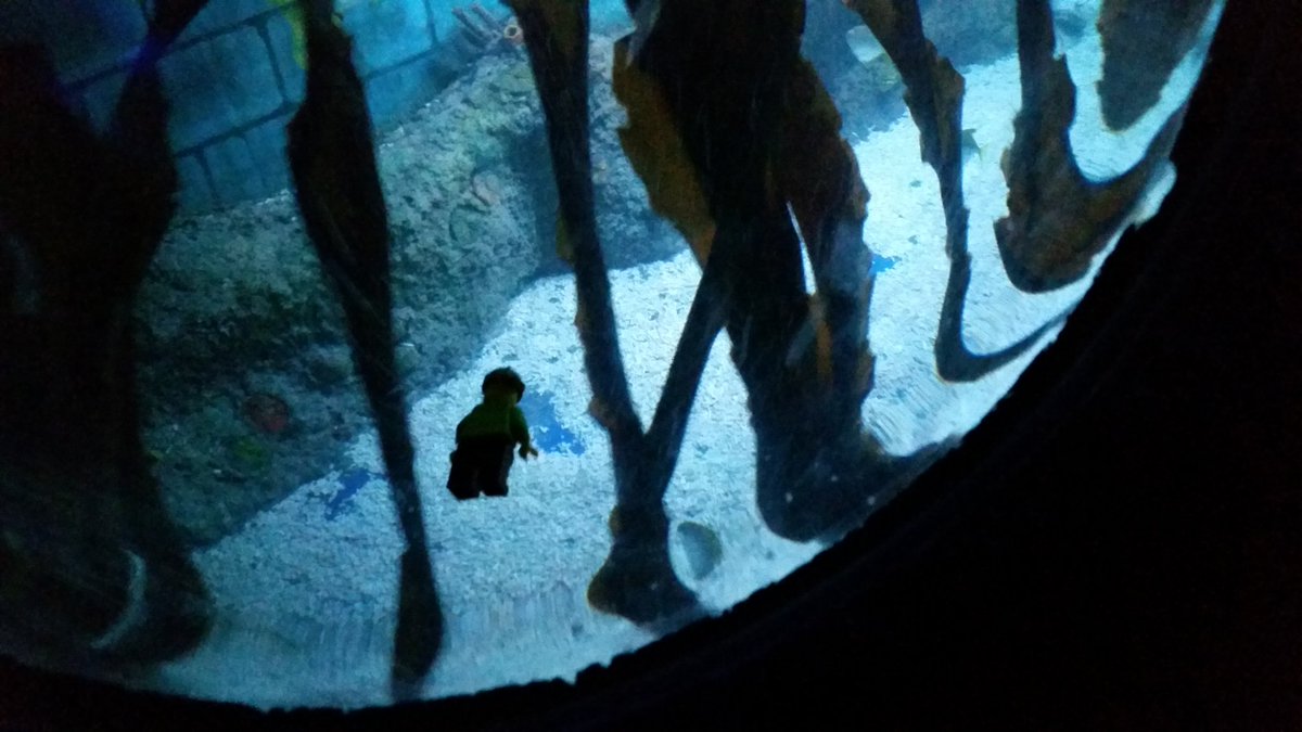 alcoventry's tweet photo. Under sea adventure in Atlantis #WileyOnTheMove #LEGOLANDWINDSOR https://t.co/kUDQxxhwqX