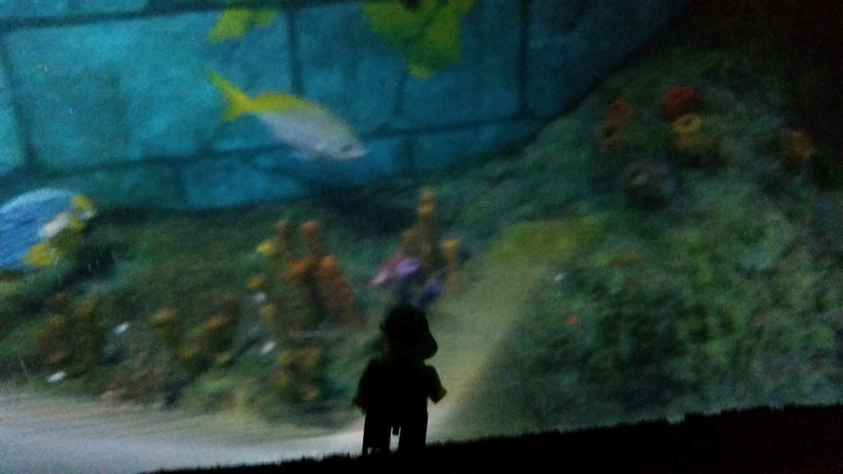 alcoventry's tweet photo. Under sea adventure in Atlantis #WileyOnTheMove #LEGOLANDWINDSOR https://t.co/kUDQxxhwqX