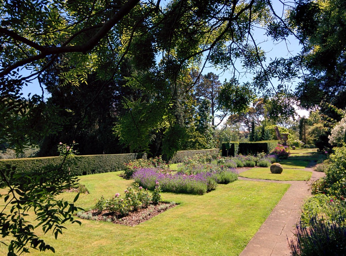 thornhouseuk's tweet photo. We're opening the gates again tomorrow Sunday 2-5pm for our spring public garden open day in conjunction with Wembury Church who will be supplying the delicious cream teas and refreshments. https://t.co/s9ROBzei4t