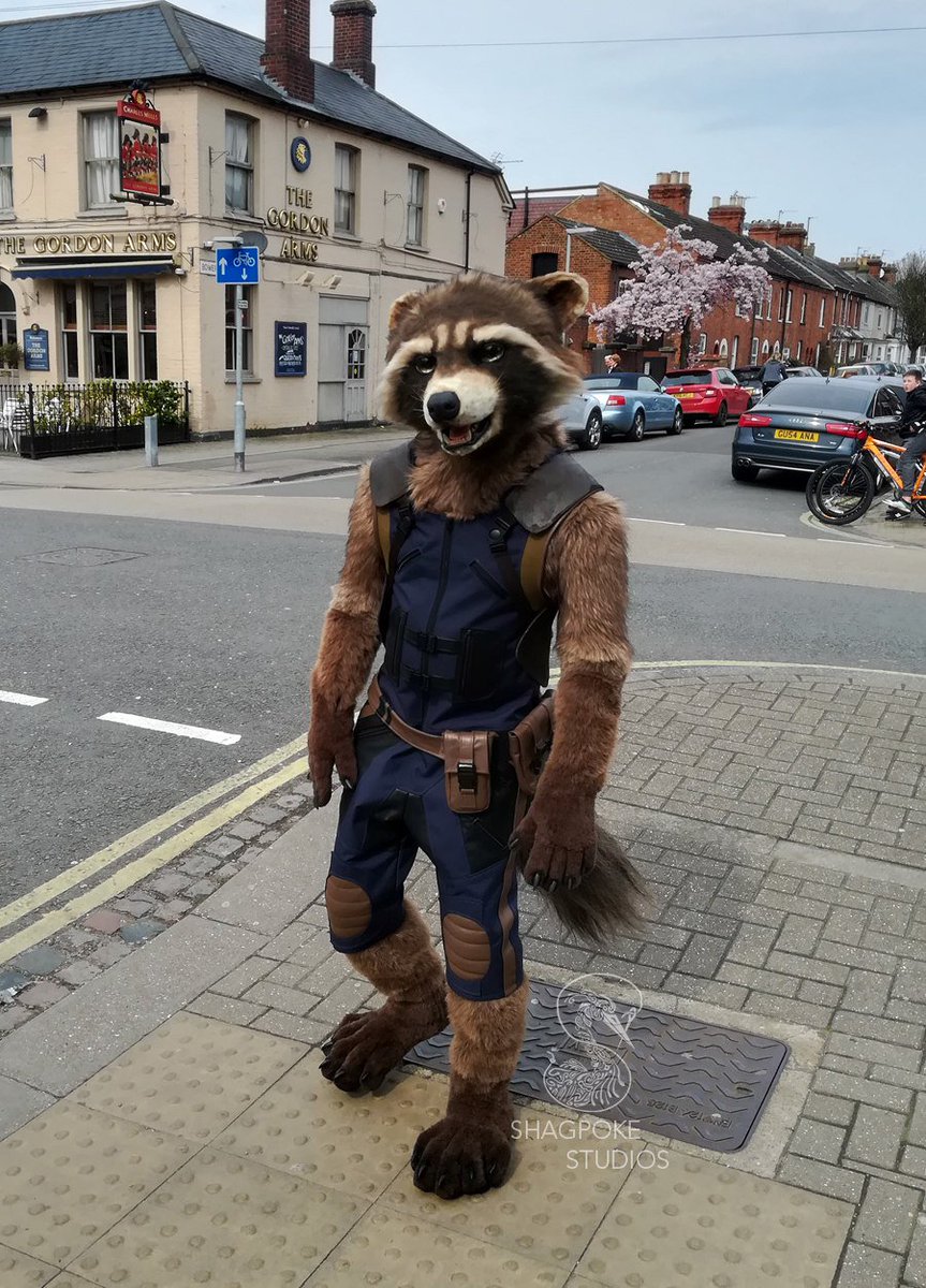 the-dog-with-two-g-s-kelloggcollie-twitter