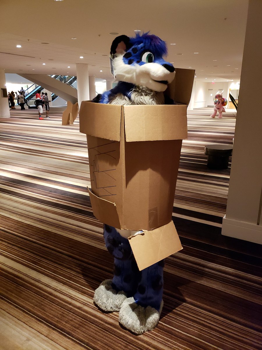coltdoggo's tweet photo. boxsonas are in fursonas are out @Blueneko #boxsona https://t.co/p5bUE28tM9