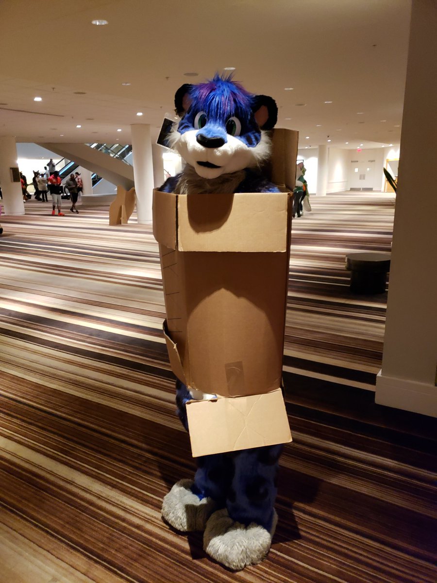 coltdoggo's tweet photo. boxsonas are in fursonas are out @Blueneko #boxsona https://t.co/p5bUE28tM9