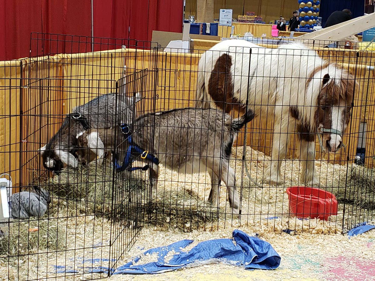 AMAZEatorium tweet media