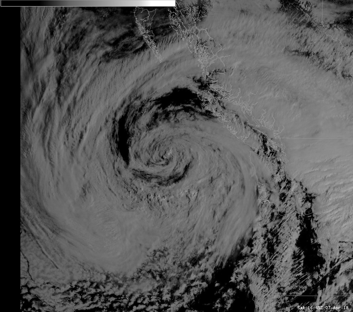 NWSPortland's tweet image. One of our forecasters said that "the storm is starting to look like a cinnamon roll!" 😂 #someoneshungry #willworkforfood