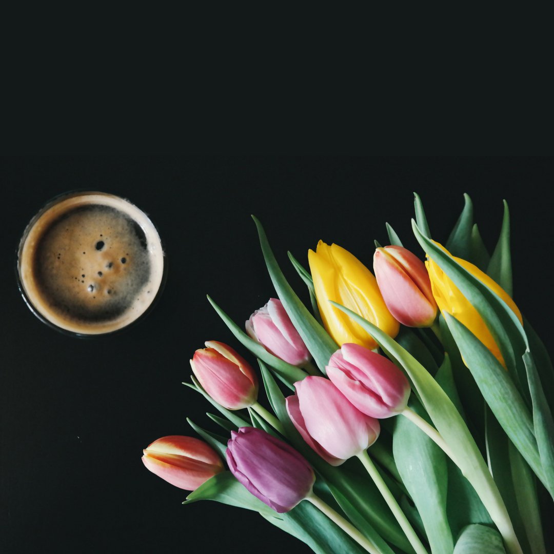 Happy National Beer Day! We think spring #tulips and a refreshing #beer make quite the pairing. How are you celebrating?