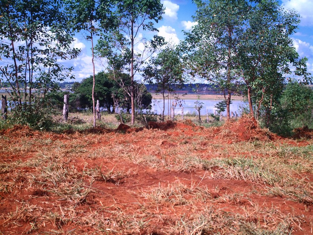 NegociosIntere's tweet photo. Lotes, Chácaras, Terrenos...
Visite: https://t.co/VjWZ81CC0g https://t.co/Id3yUduNVY