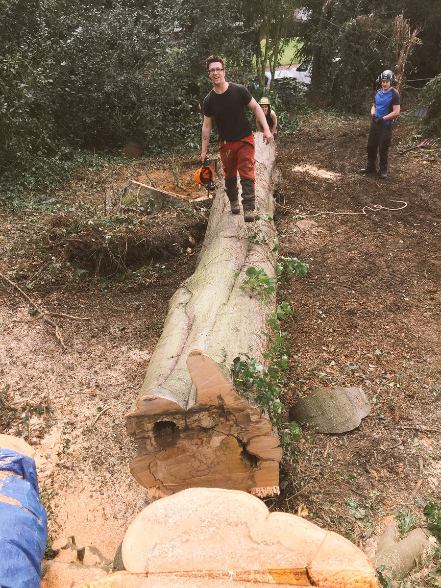 Tree_Surgeons tweet picture