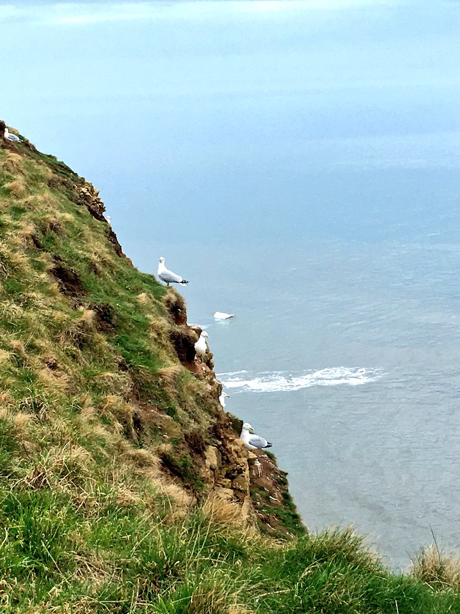 OneHappyRower's tweet photo. Gorgeous run along @ClevelandWayNT today & @2minbeachclean! ππββοΈπ¦ #plogging #plasticpollution #2MinuteBeachClean https://t.co/RzrZkyfeoV