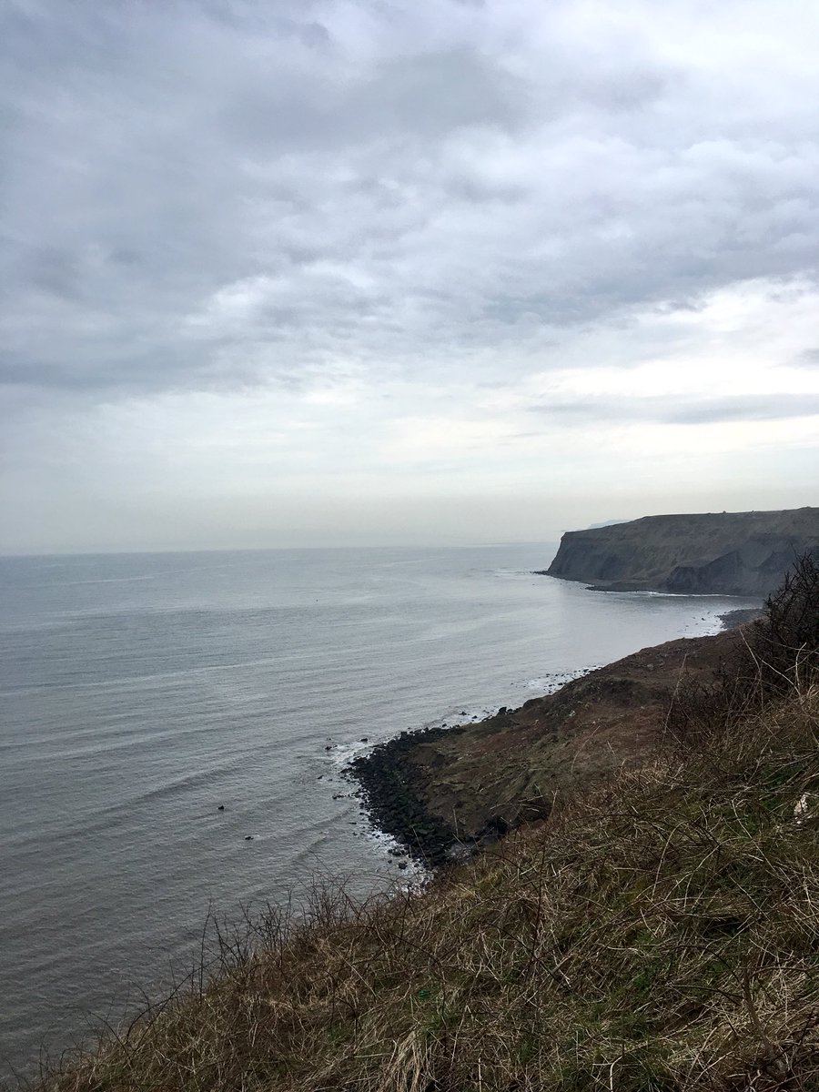 OneHappyRower's tweet photo. Gorgeous run along @ClevelandWayNT today & @2minbeachclean! ππββοΈπ¦ #plogging #plasticpollution #2MinuteBeachClean https://t.co/RzrZkyfeoV