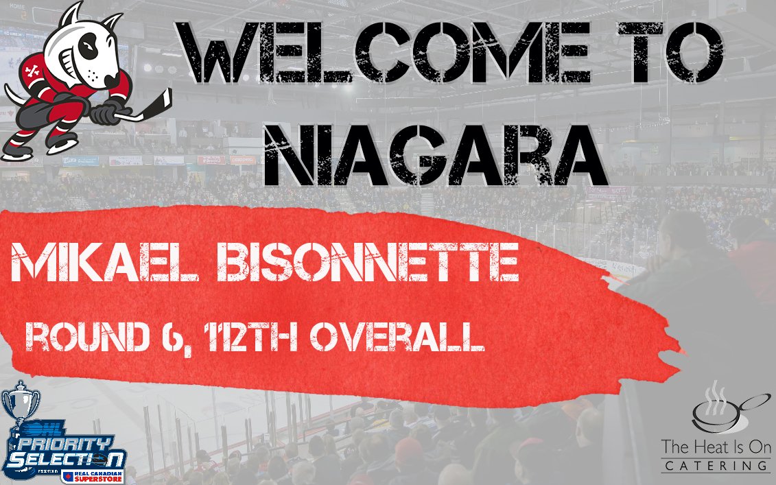 Niagara IceDogs tweet media