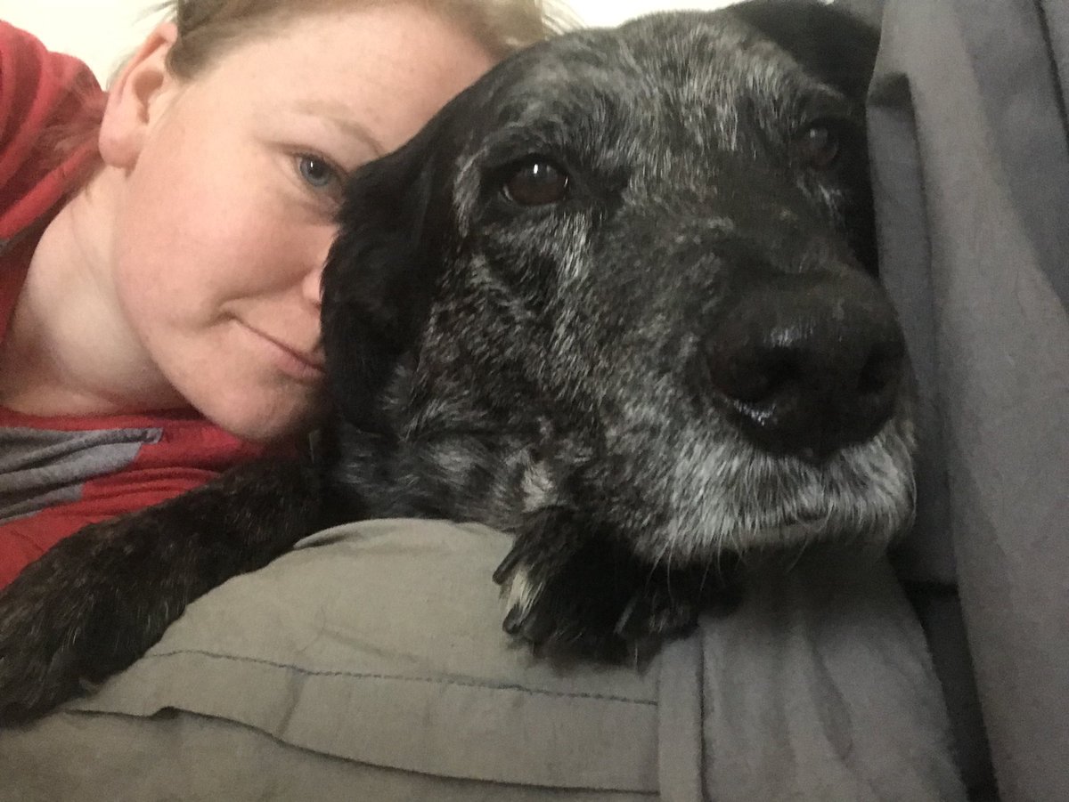 This week, Roger was diagnosed with hemangiosarcoma, a rapidly growing, highly invasive form of cancer. Gives zero h*cks, will continue being awesome for as long as he’s got left. #SeniorPupSaturday