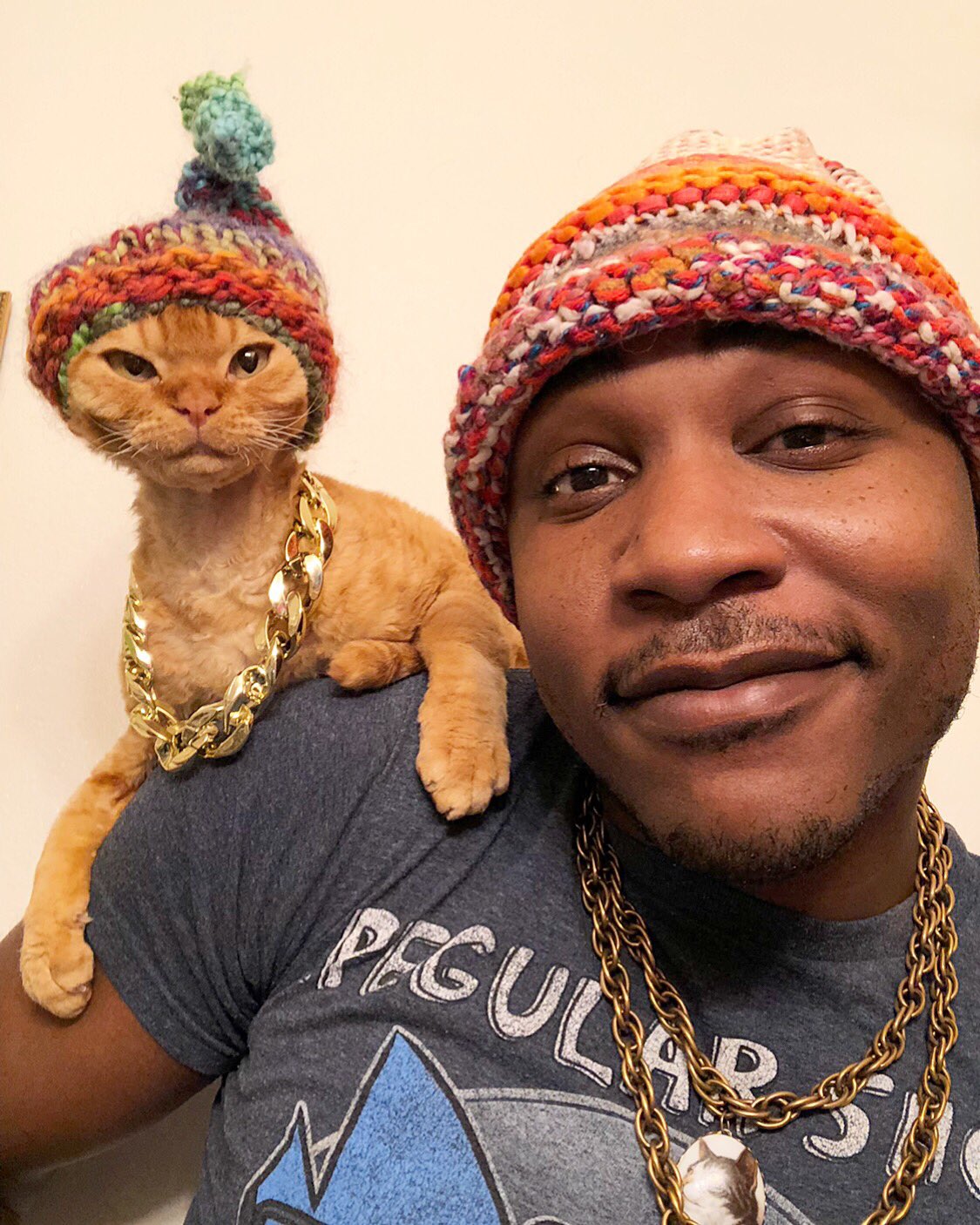 iAmMoshow - The Cat Rapper ™ on Twitter: