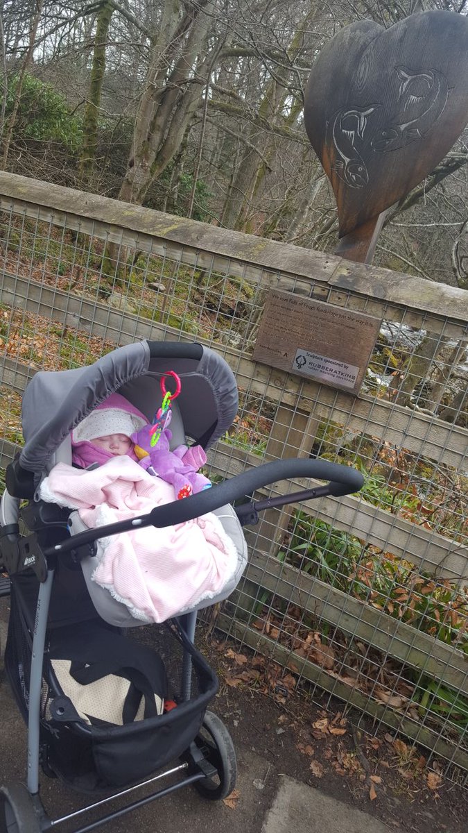 BIANCOGIRL's tweet photo. #LoveWithoutLocks #FallsOfFeugh #Banchory #Selfie #SophieRose ❤🌹 https://t.co/i4B4dEKbc8