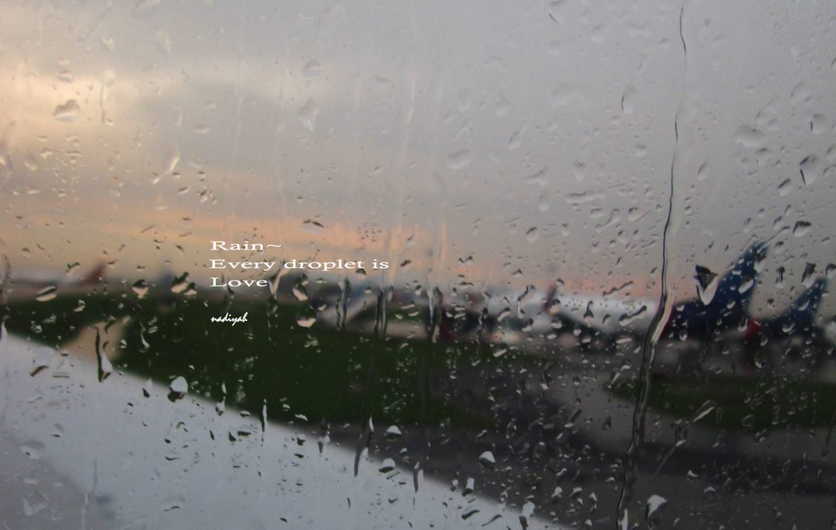 nad_quotesme's tweet image. Rain~
Every droplet is
Love

#justwriting #words #poetry