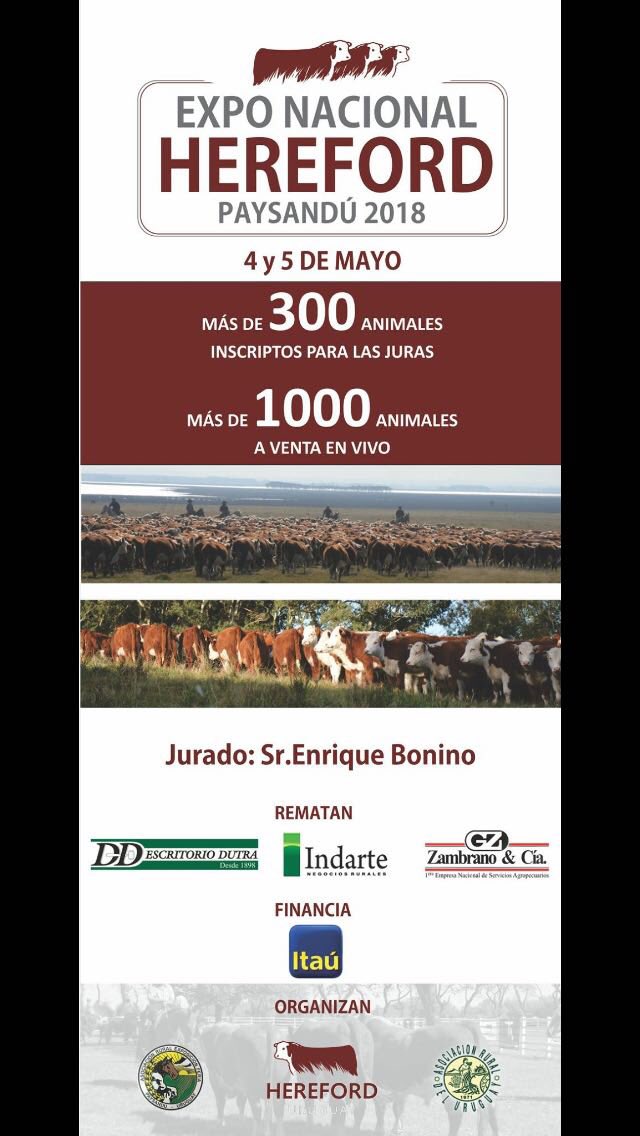 PayRural's tweet photo. Todos invitados! https://t.co/FY17kNpqLF