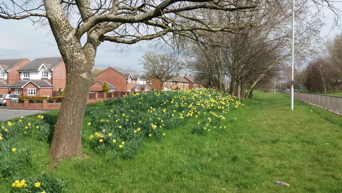 Image from Flourish at Ford Way (@Flourishbees)