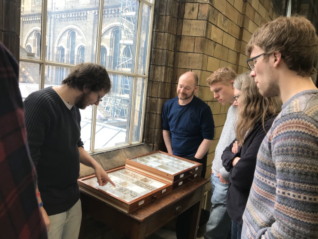 StephSkipp's tweet photo. Enjoyed leading a #soldierbeetle workshop today! Very grateful to have had such a enthusiastic group and a helpful collection tour guide 😊 #squishybeetlez https://t.co/1Q6igXH9aT