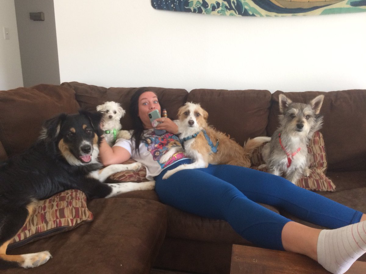 tstoonnee's tweet photo. Me and the homies #dogz https://t.co/tAtQW6GJ81