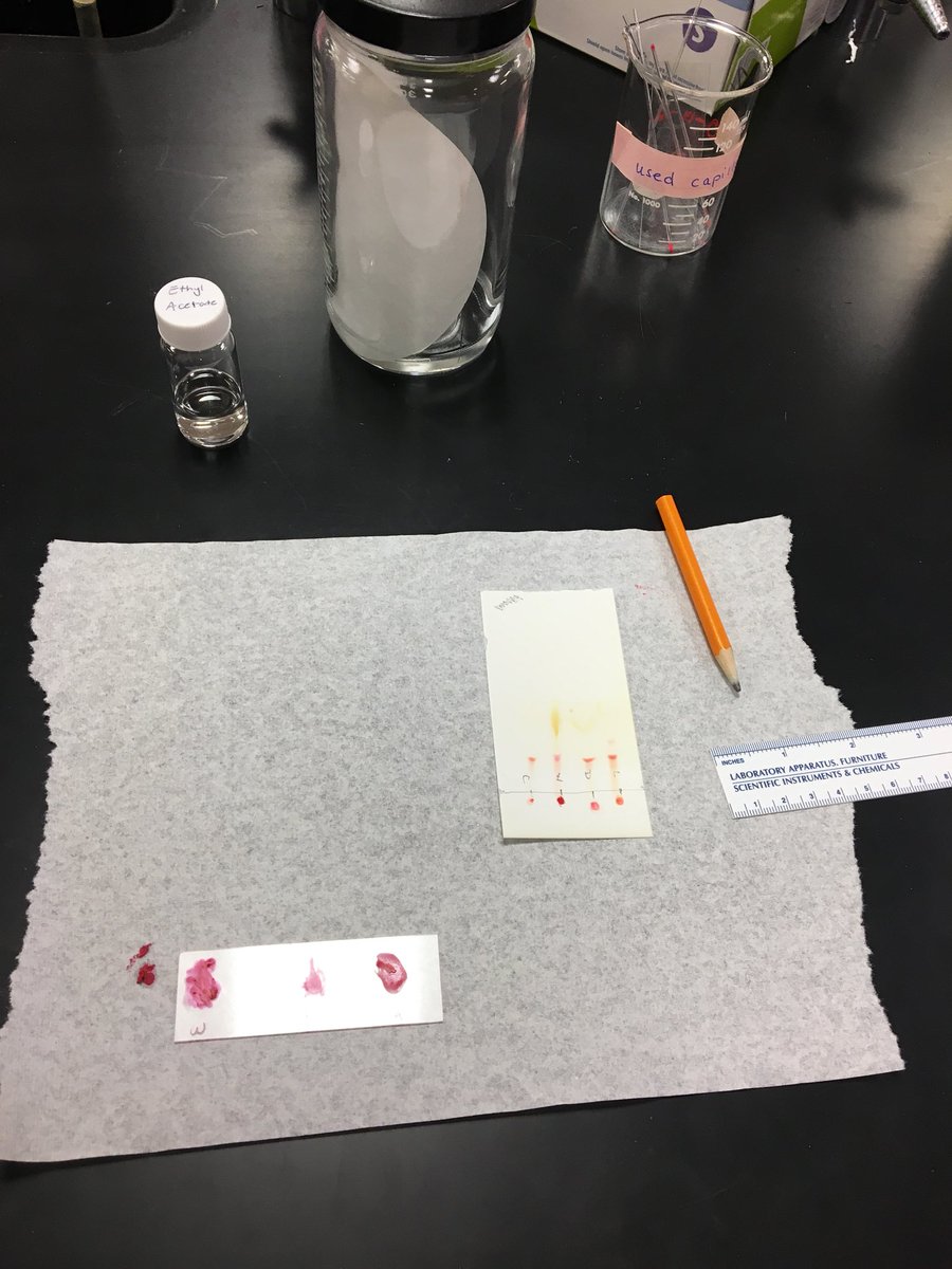 anissacravens's tweet photo. Thank you Bethel for hosting a great day for our future scientists.  #BethelSTEM #GEMS2018 #UniversityACES #AHSchools https://t.co/4JHxgh3pz8